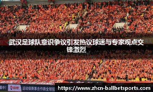 武汉足球队意识争议引发热议球迷与专家观点交锋激烈